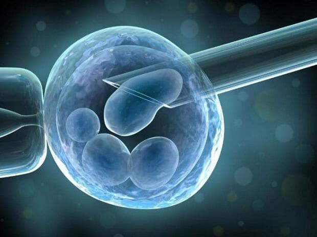 囊胚级别4bc和5bc是什么，什么样的不孕患者适合进行囊胚培养