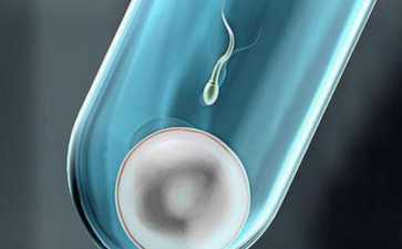 郑州三代试管可以排除哪些疾病，郑州试管哪里好-助孕价格表