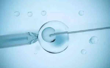 试管打达必佳注意事项-助孕机构排名