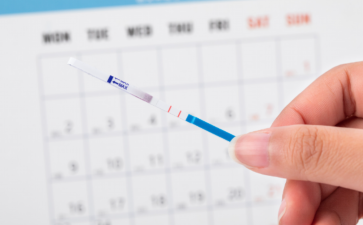 备孕适合吃阿胶吗备孕能不能吃阿胶