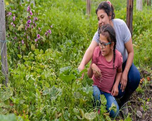 郑州专治不孕不育的医院哪家好呢--助孕价格表